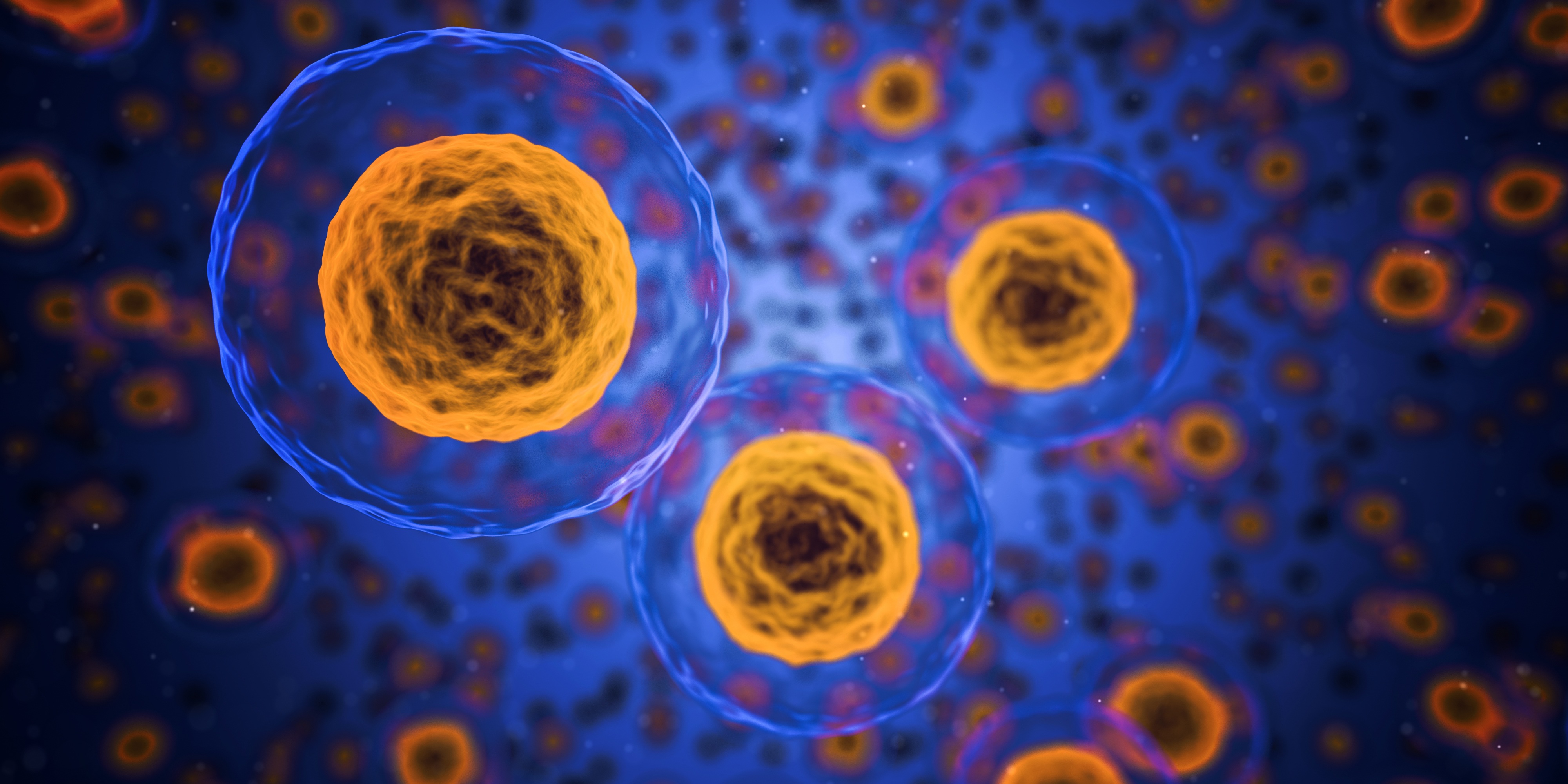 Natural Killer Cells