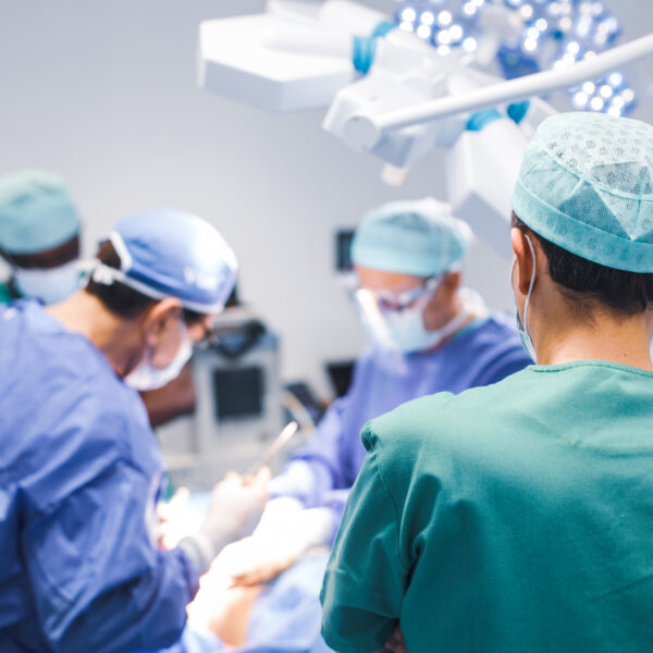 Cardiovascular Regeneration Programme